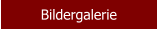 Bildergalerie